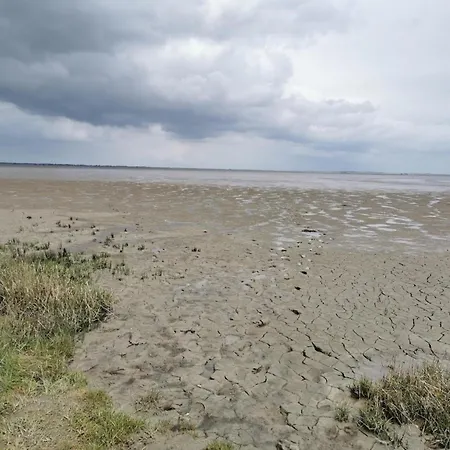 Haus In Ostfriesland Mit Garten בית נופש Neßmersiel