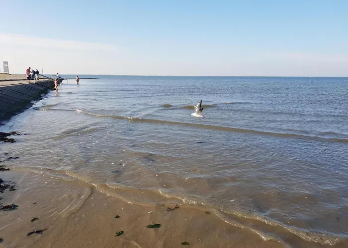 Haus In Ostfriesland Mit Garten Neßmersiel