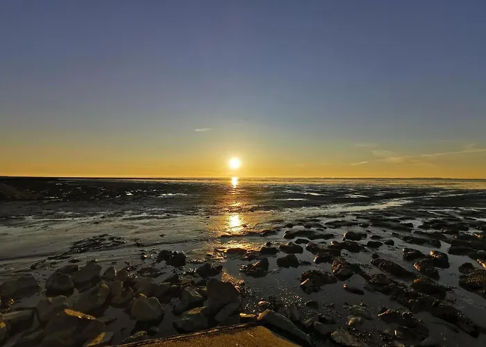 Haus In Ostfriesland Mit Garten Tatil Evi *