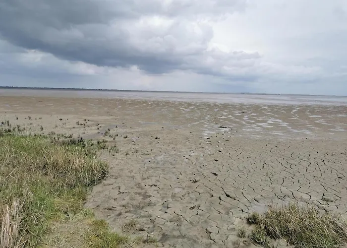 Haus In Ostfriesland Mit Garten Tatil Evi Neßmersiel