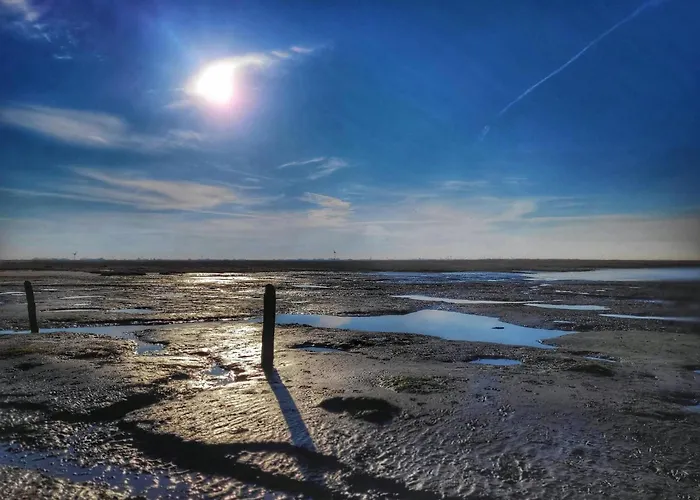 Haus In Ostfriesland Mit Garten Tatil Evi