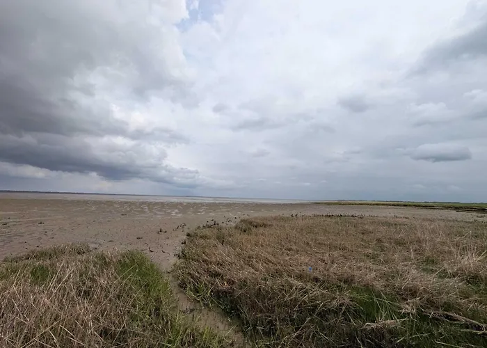 Tatil Evi Haus In Ostfriesland Mit Garten Neßmersiel