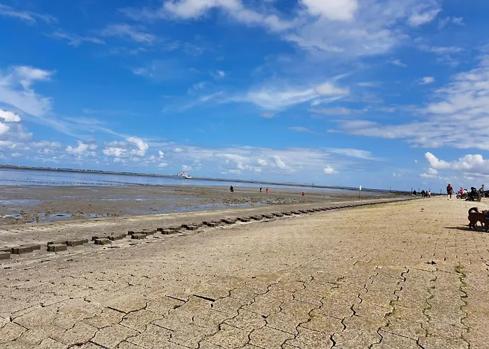 Haus In Ostfriesland Mit Garten *