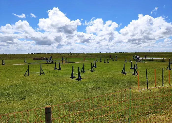 Haus In Ostfriesland Mit Garten Neßmersiel